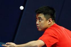 lol合区-奥地利队碾压葡萄牙队，王皓带队取胜的简单介绍