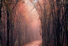 开云下载-瑞士豪取大胜，晋级欧洲杯四强