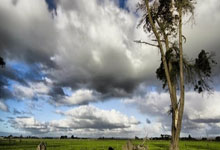 lol官网-独行侠爆冷澳大利亚男篮，哈登绝境逆转