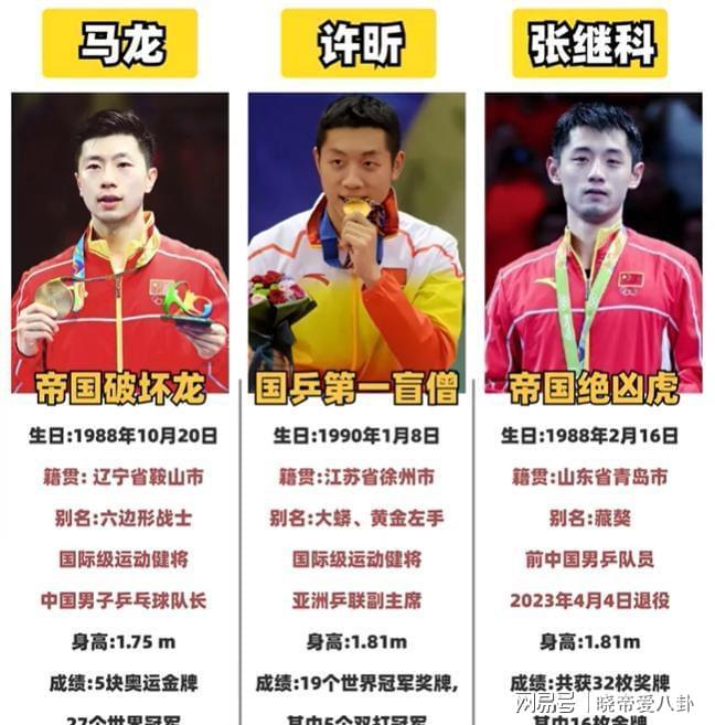 关于中国乒乓球队绝杀比利时乒乓球队,张继科打破历史纪录的信息 关于中国乒乓球队绝杀比利时乒乓球队,张继科打破历史纪录的信息
