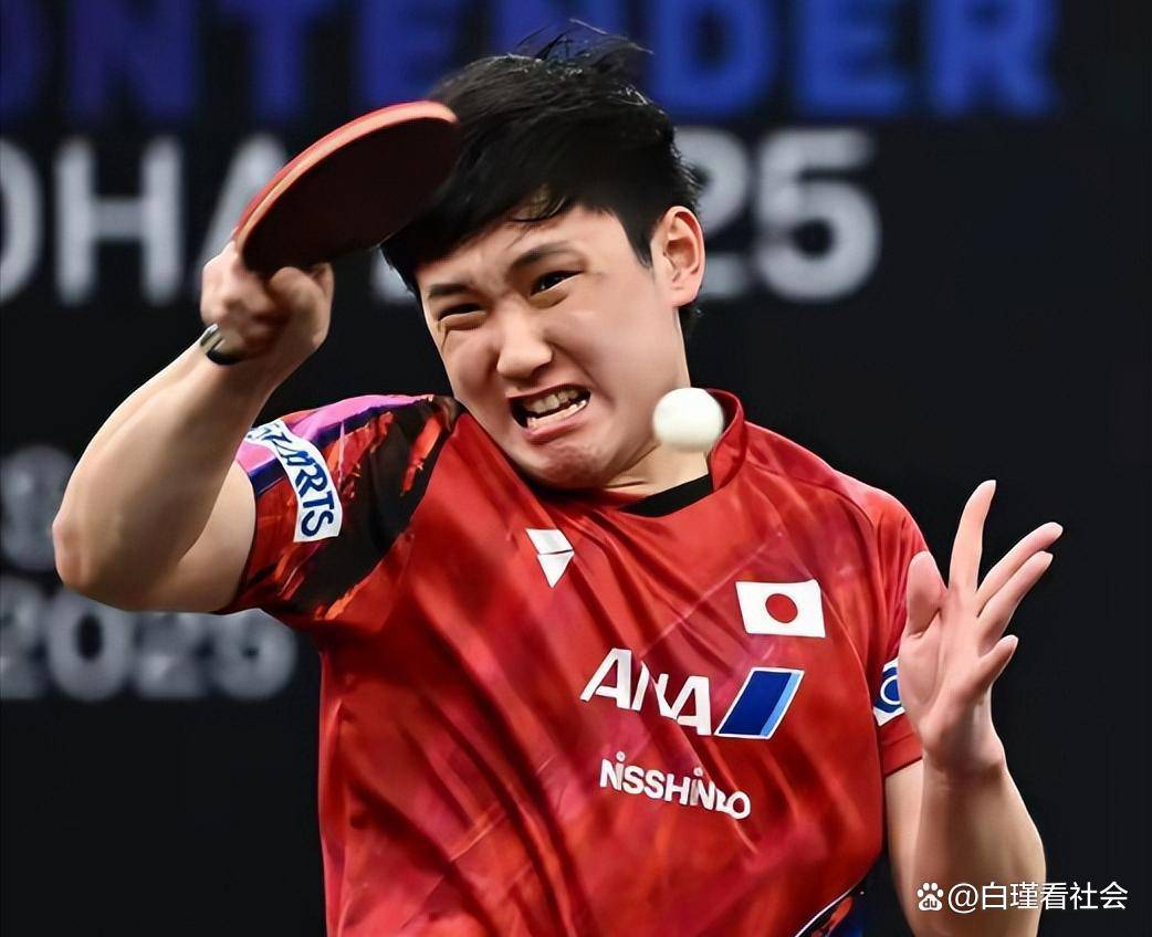 包含英格兰队逆转法国队，张本智和带队取胜的词条